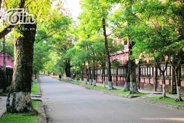 Tin Tin Hue Hostel Luaran gambar